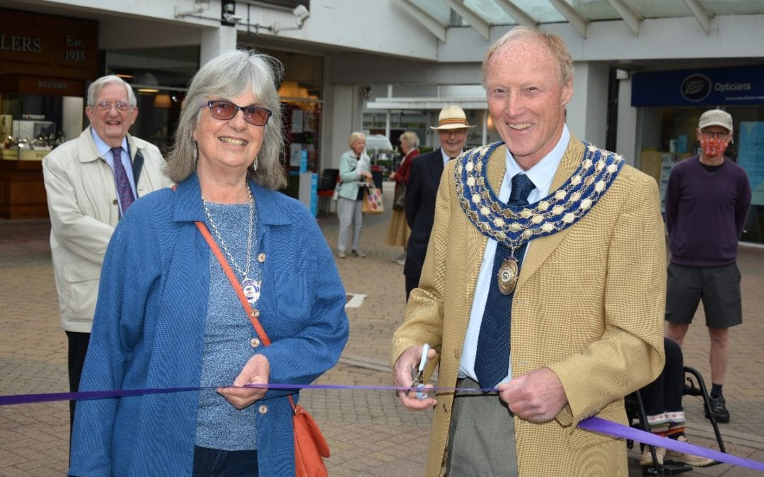 PHOTO GALLERY: Kenilworth Open Day Market